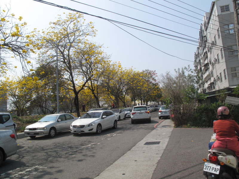 改善八掌溪堤防道路、景觀　王美惠敦促五河局辦理 - https://www.watchmedia01.com