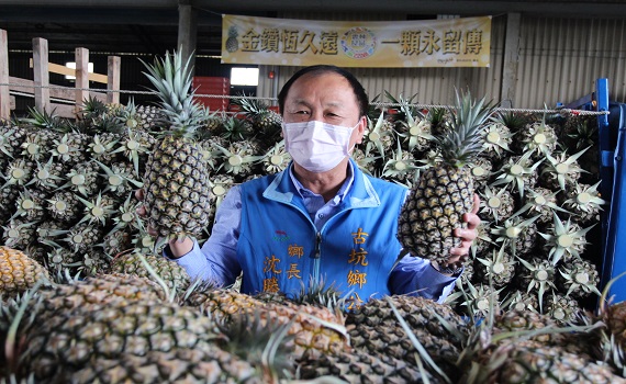 雲林鳳梨外銷香港封櫃啟航 失去大陸市場另闢出口通路 - https://www.watchmedia01.com
