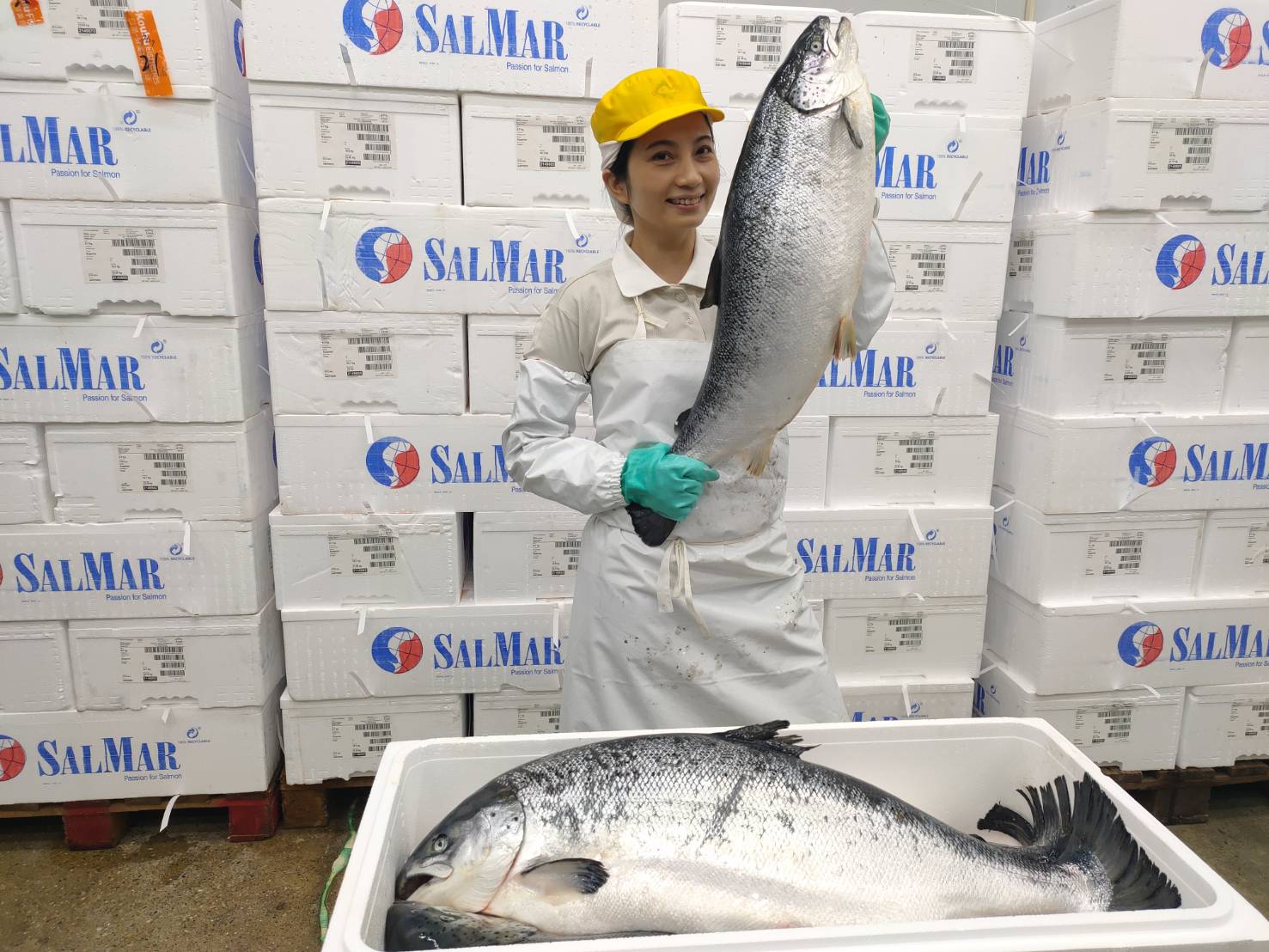 「鮭魚」們親訪口湖台灣鯛　免費送整尾大鮭魚 - https://www.watchmedia01.com