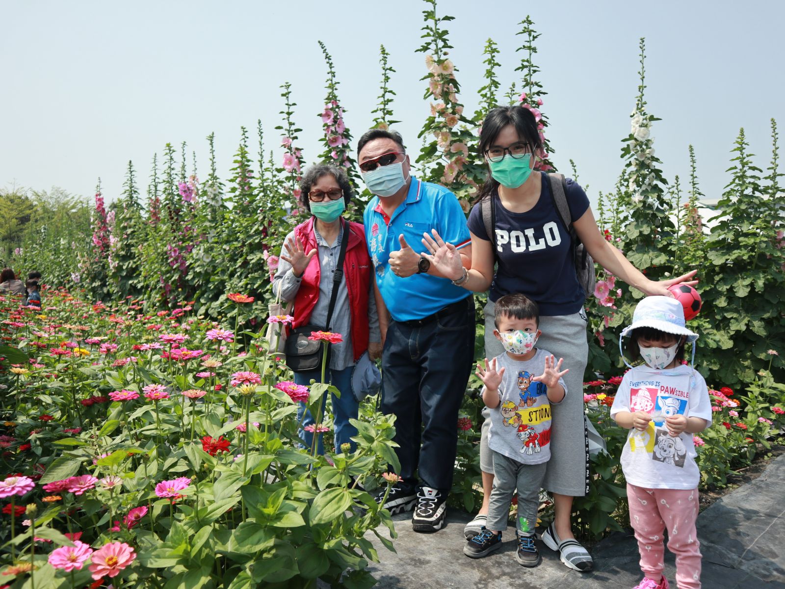 影／挺美！員林市蜀葵花季　萬紫千紅的蜀葵花綻放 - https://www.watchmedia01.com