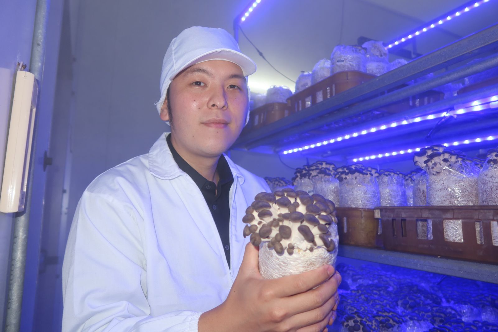 影／蕈優農場採「智能環控系統」菇菇享受霧狀的沐浴 - https://www.watchmedia01.com