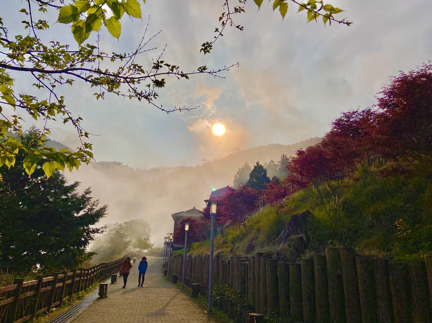 春天賞楓紅！ 太平山另類美景 - https://www.watchmedia01.com