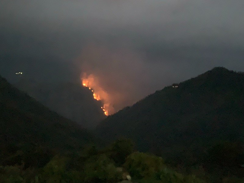 大阿里山區又驚傳山林火災 - https://www.watchmedia01.com