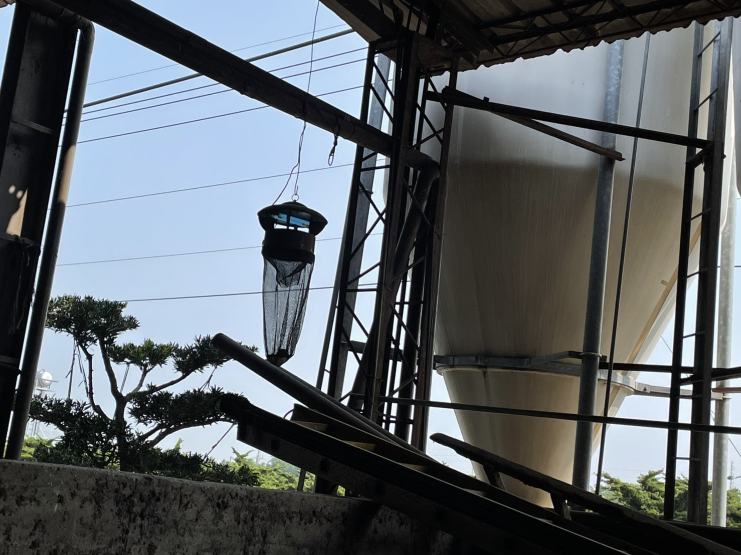 臺灣首次爆發牛結節疹疫情　牛棚吊掛捕蚊設備　確保防疫無漏洞 - https://www.watchmedia01.com
