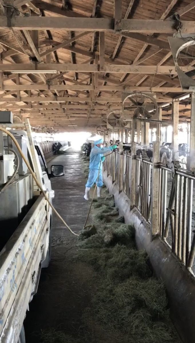 臺灣首次爆發牛結節疹疫情　牛棚吊掛捕蚊設備　確保防疫無漏洞 - https://www.watchmedia01.com