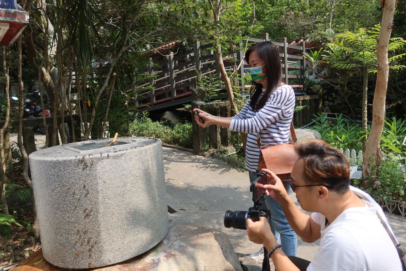 影／神奇湧泉不間斷　清水岩寺甘露泉招蜂來喝水 - https://www.watchmedia01.com