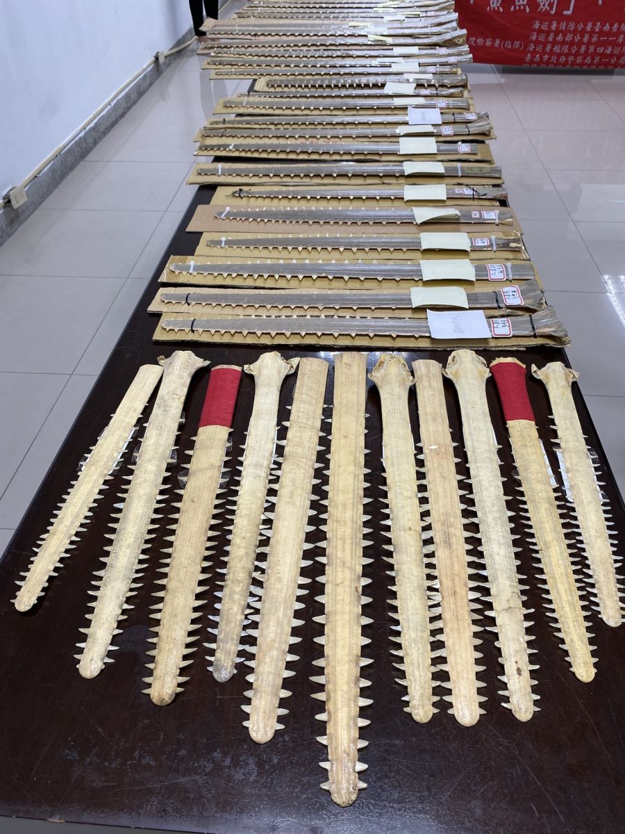 海巡破獲國內最大宗販售鯊魚劍、一角鯨牙 市價千萬 - https://www.watchmedia01.com
