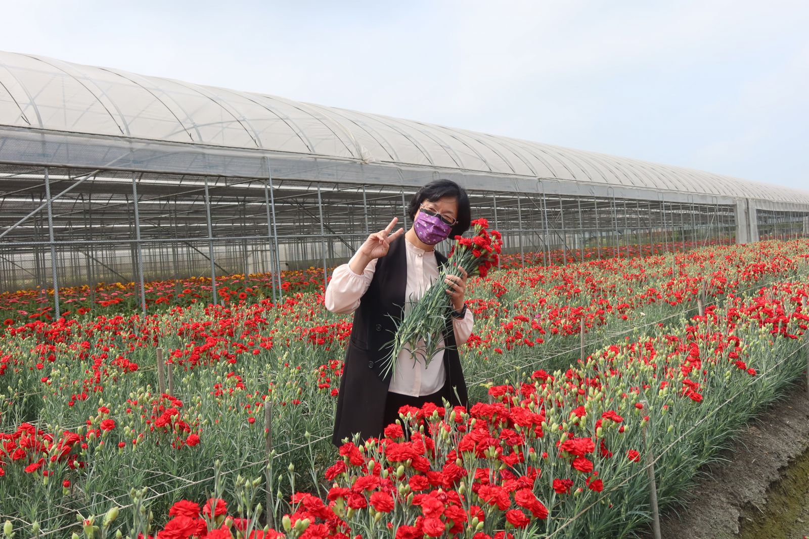 影／缺雨水　花現美好馨情王惠美行銷推廣康乃馨 - https://www.watchmedia01.com