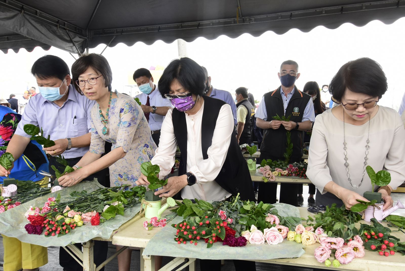 影／缺雨水　花現美好馨情王惠美行銷推廣康乃馨 - https://www.watchmedia01.com