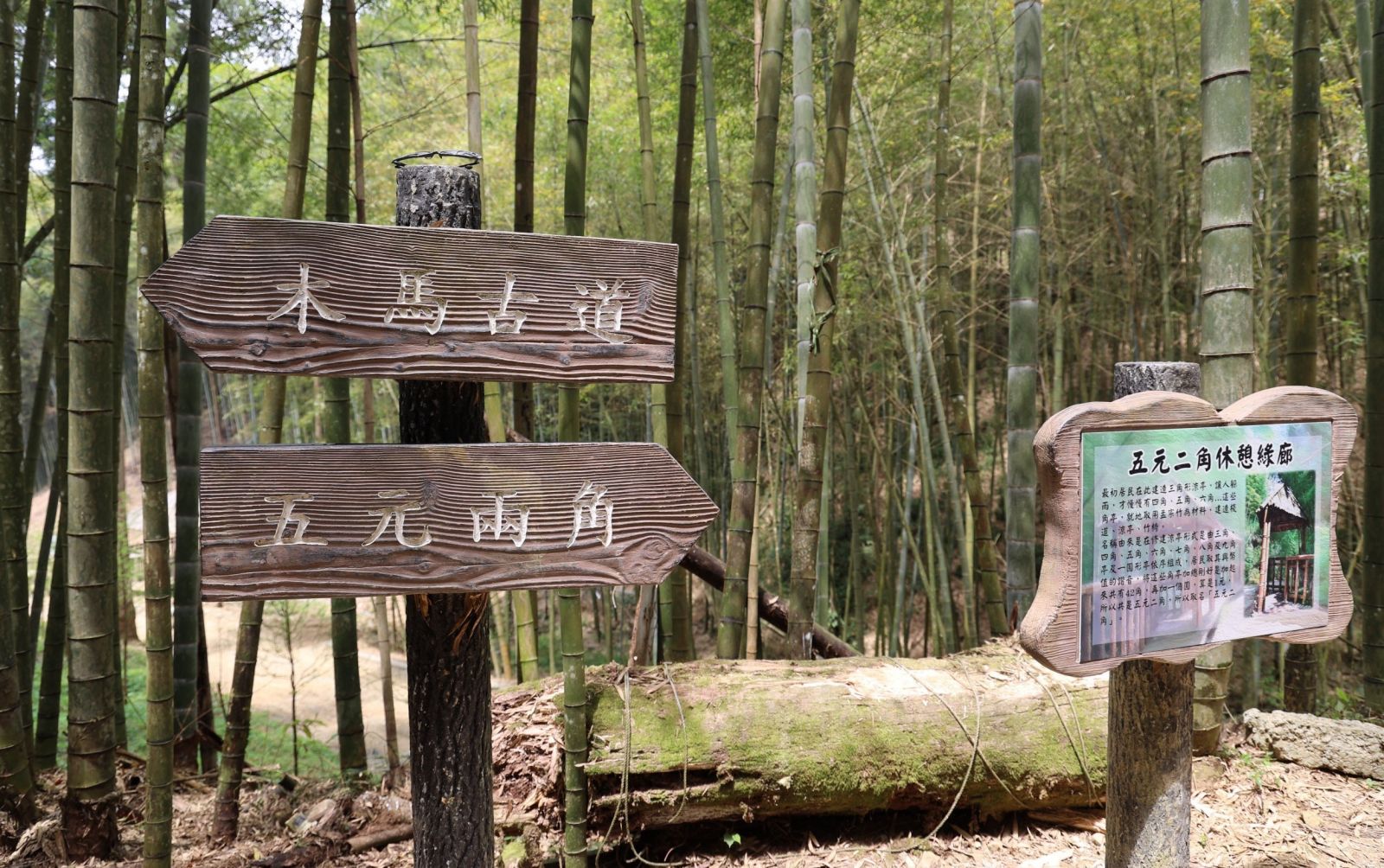 草嶺石壁抗空污森呼吸　打造雲林森林療育基地 - https://www.watchmedia01.com