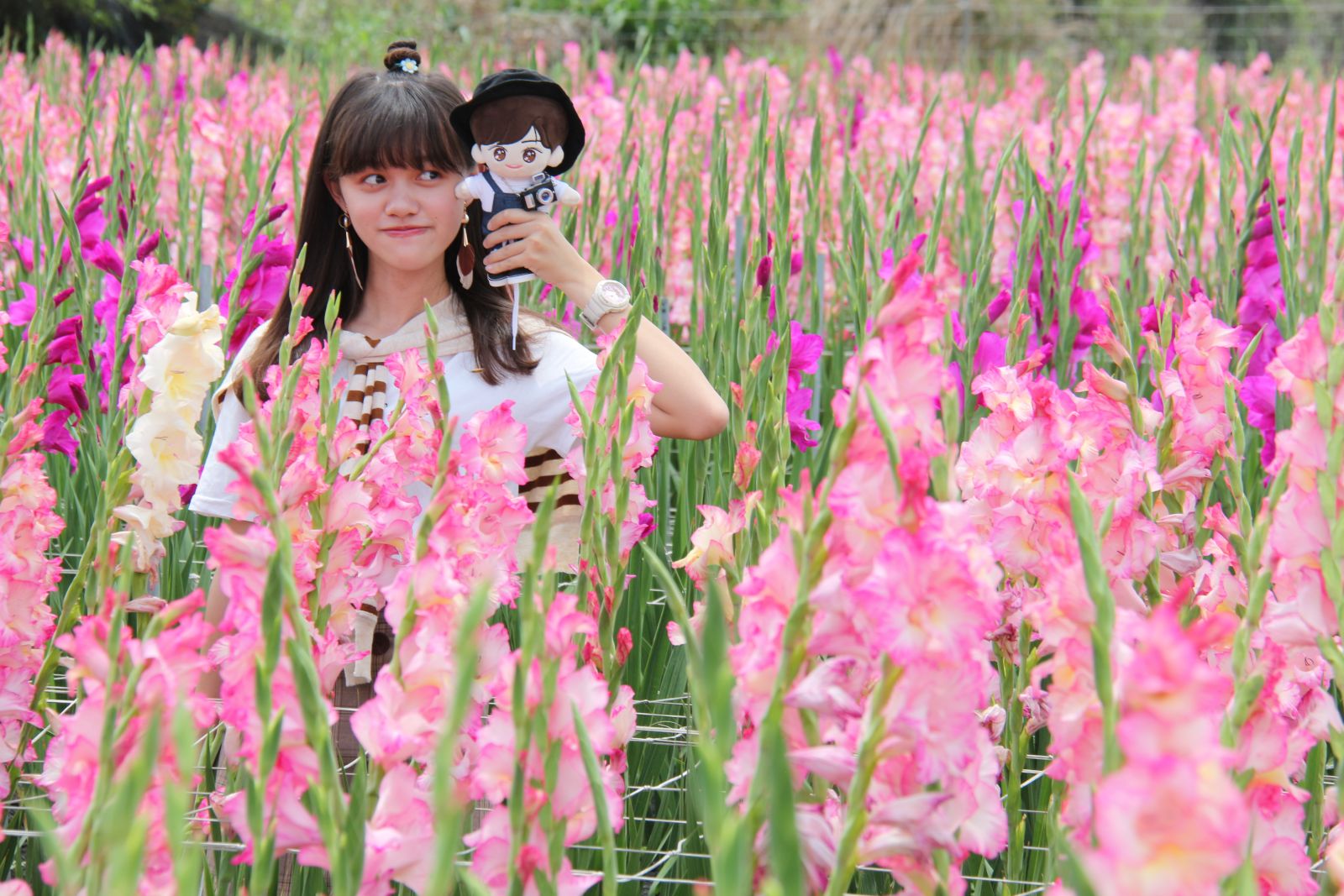 影／網美爭艷！台鐵「鳴日號」會身粉紅花田　超有看頭 - https://www.watchmedia01.com