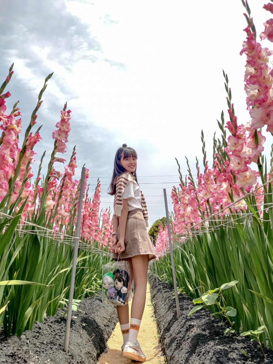 影／網美爭艷！台鐵「鳴日號」會身粉紅花田　超有看頭 - https://www.watchmedia01.com