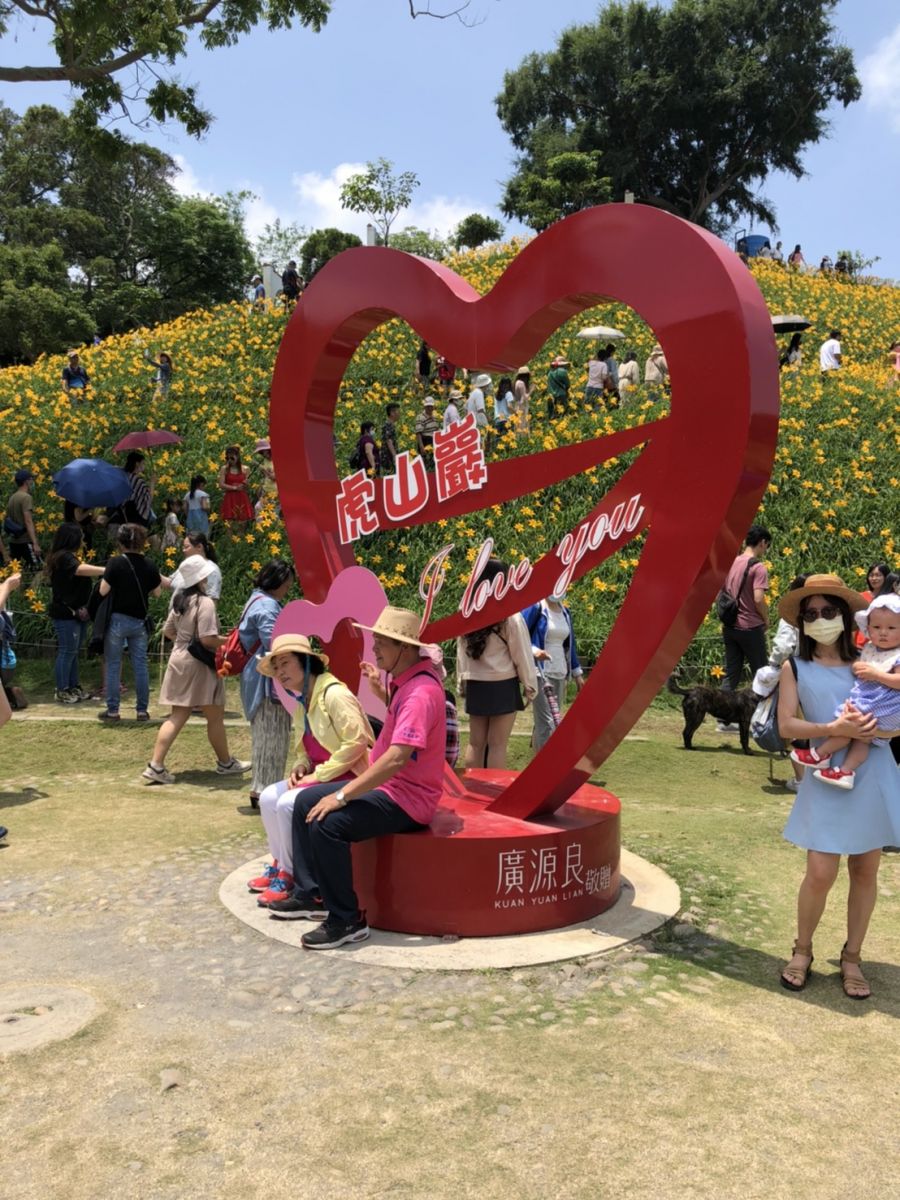 影／滿山金黃　花壇鄉虎山巖滿山金針花全開如鋪黃地毯 - https://www.watchmedia01.com