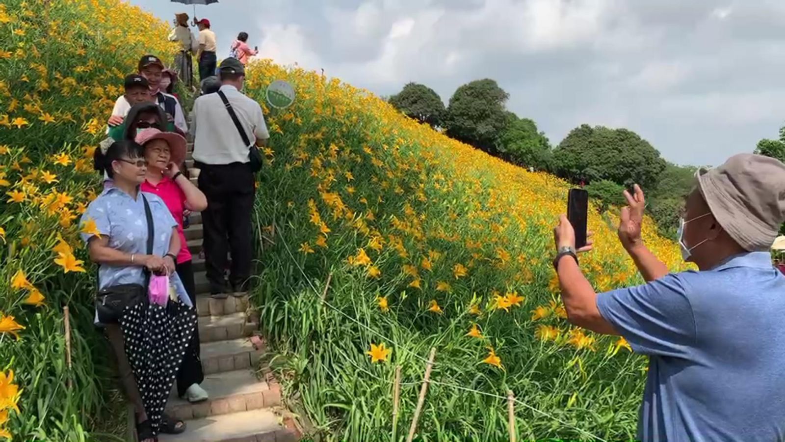 影／花容失色　花壇鄉虎山巖已封閉進入金針花步道入口 - https://www.watchmedia01.com