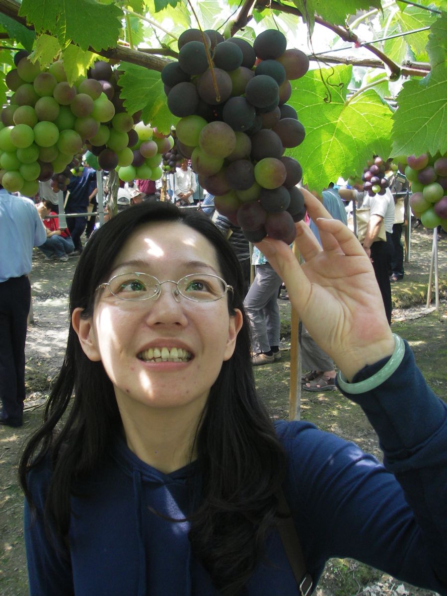 影／葡萄每天日光浴　彰化縣長王惠美促銷 - https://www.watchmedia01.com