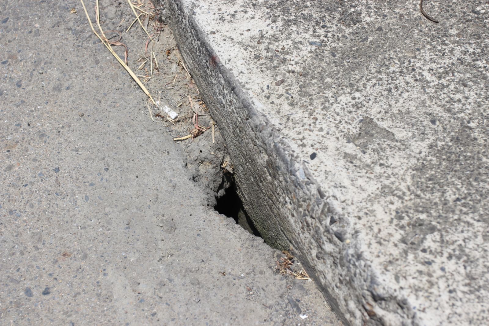 新光路橋路口改善即將完工 東外環連接路況多行車安全堪慮 - https://www.watchmedia01.com