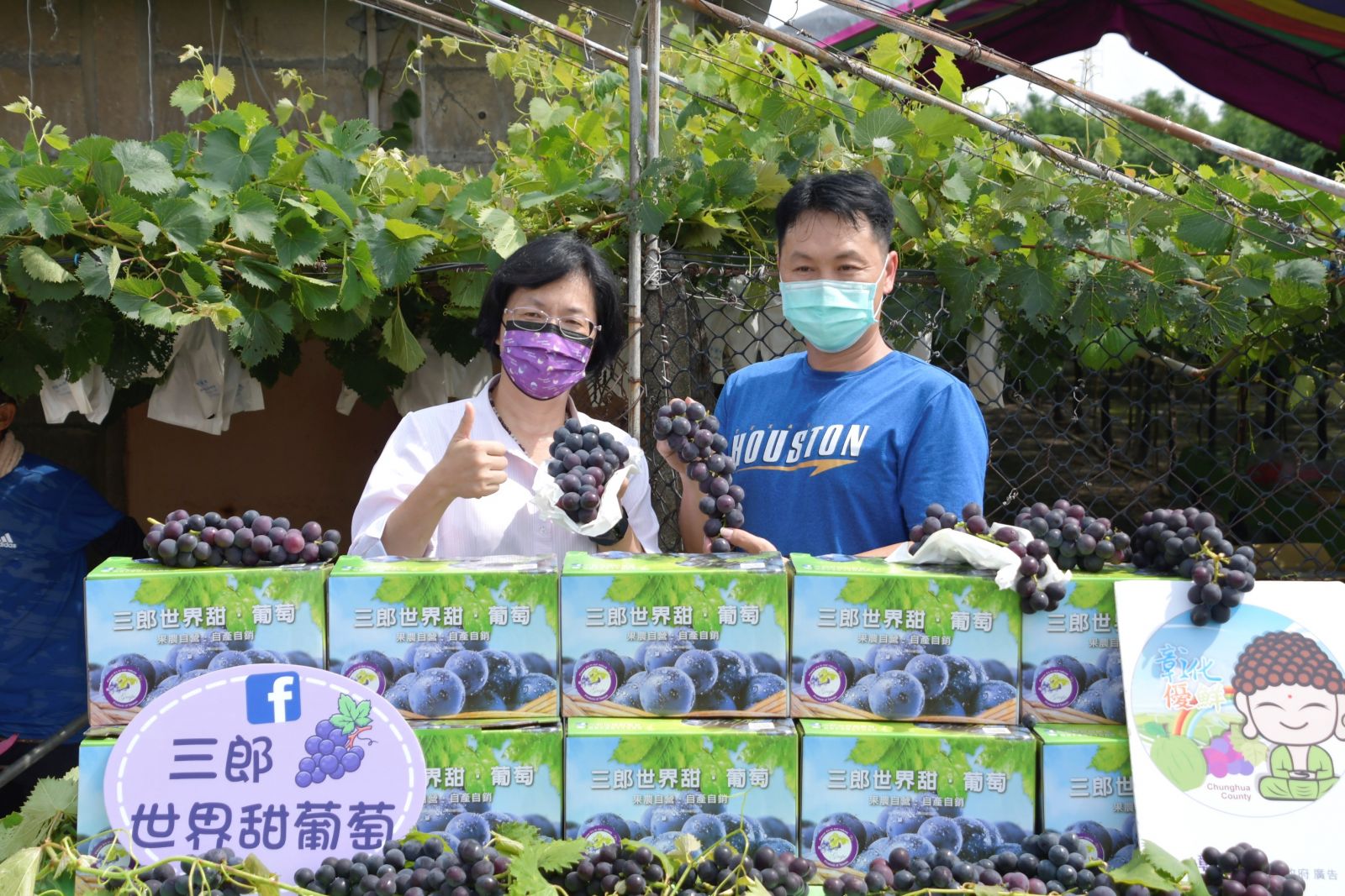 影／王惠美網路行銷溪湖葡萄　吃新鮮葡萄力挺農友 - https://www.watchmedia01.com