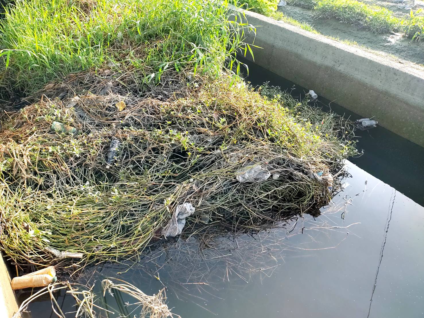 埔心鄉大水溢堤淹沒農路　王惠美視察淹水情形 - https://www.watchmedia01.com