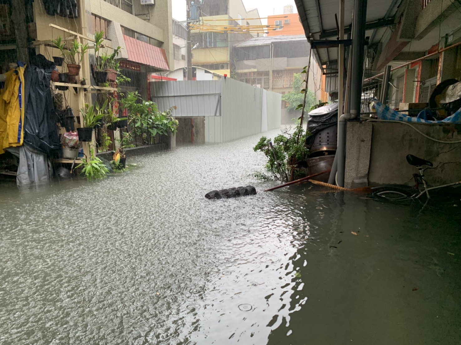 影／驚險！南彰化大雷雨　馬路成滾滾溪流 - https://www.watchmedia01.com