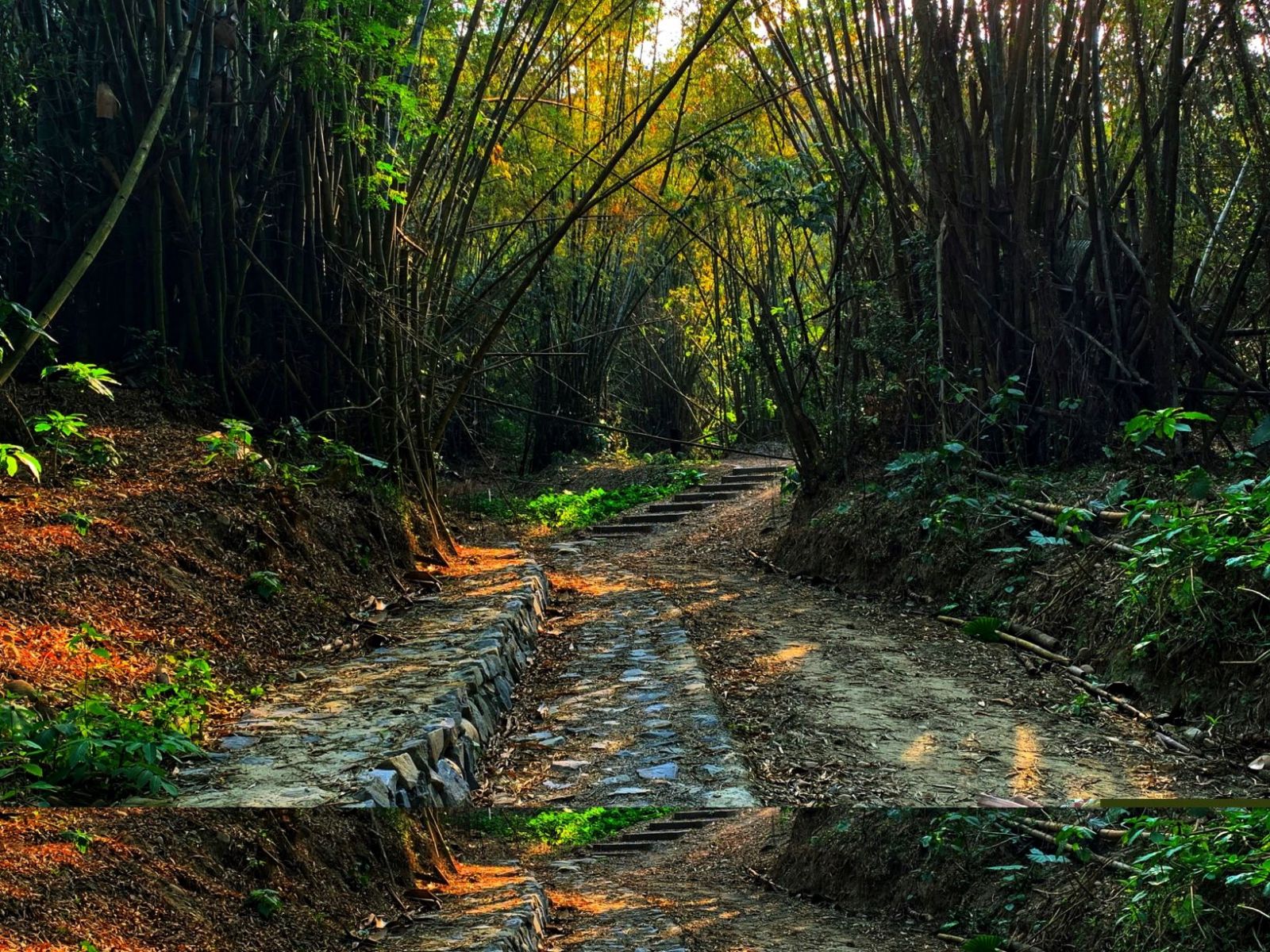 人與自然的相遇　石牌坑生態步道獲建築園冶獎 - https://www.watchmedia01.com