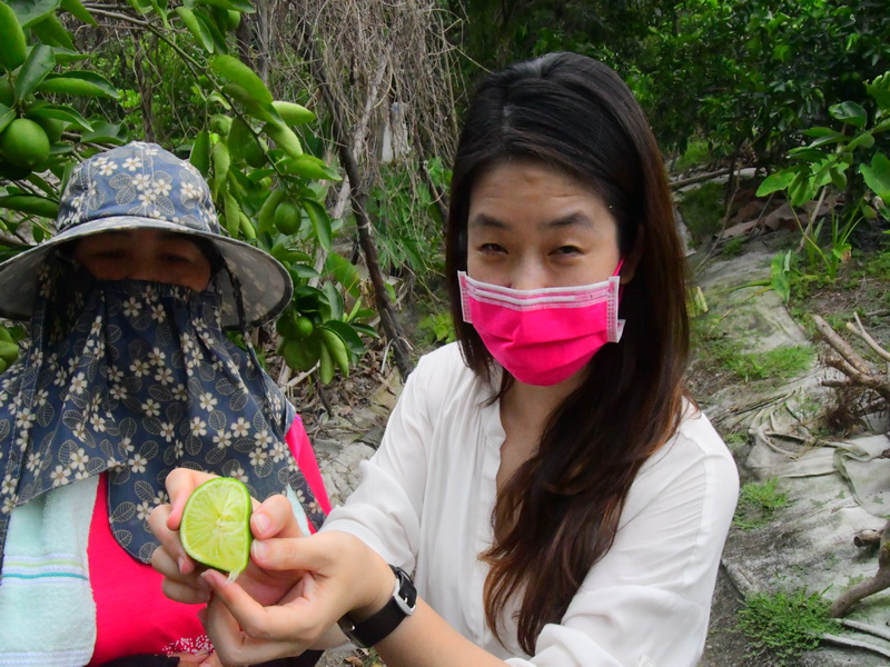 無子檸檬盛夏登場 果農蕭美糧友善栽種環境帶給每顆果實多汁多養分 - https://www.watchmedia01.com