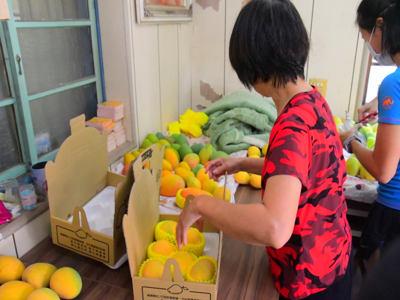 蔬菜箱受青睞 疫情期間最佳蔬果供應方式 - https://www.watchmedia01.com