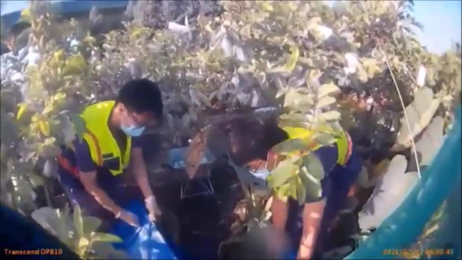 影／差一點晚七天才回家　失智嬤跌落芭樂園田溝獲救脫困 - https://www.watchmedia01.com