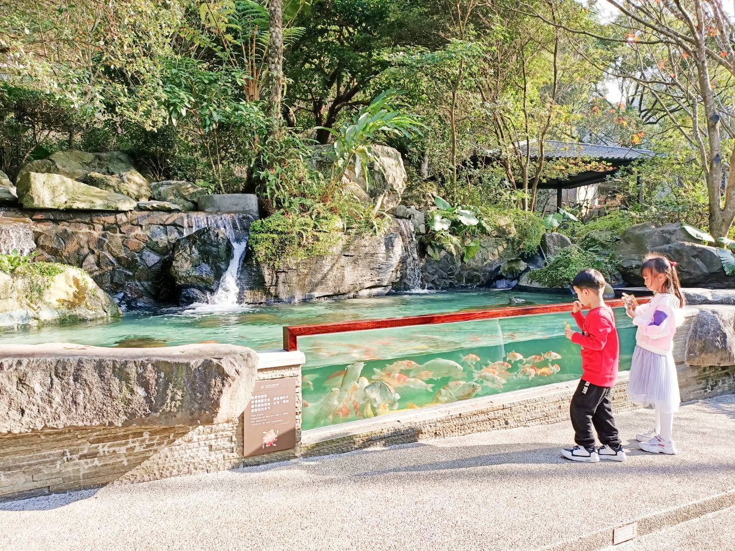 大板根超值優惠住房買一送一 防疫新森活就從現在開始 - https://www.watchmedia01.com
