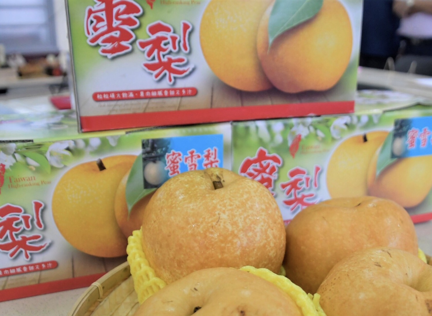 影／埤頭蜜雪梨果實碩大　甜度高達13度口感清甜多汁 - https://www.watchmedia01.com