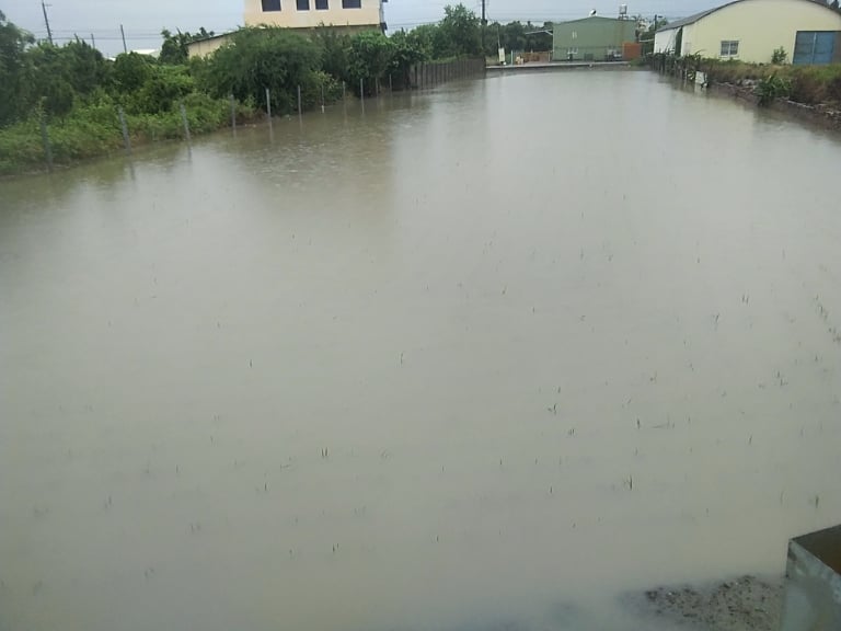 影／豪雨狂炸！產地蔬菜成「泡水菜」損失慘重帶動菜價上揚 - https://www.watchmedia01.com