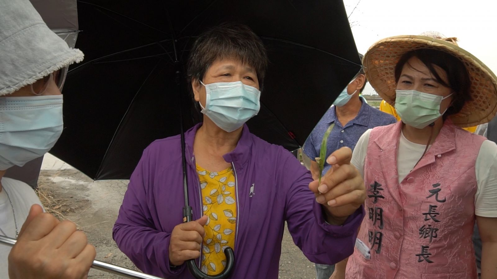 影／因應極端氣候巨大降雨農損　蘇治芬籲中央速訂農災損補助 - https://www.watchmedia01.com