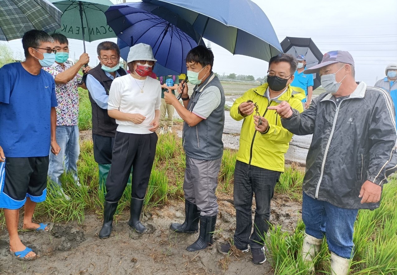 影／因應極端氣候巨大降雨農損　蘇治芬籲中央速訂農災損補助 - https://www.watchmedia01.com