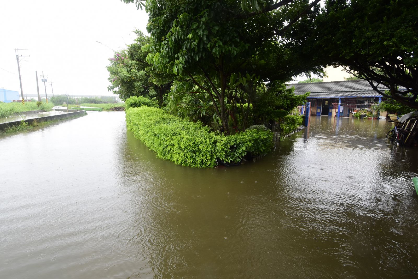 影／大城、芳苑鄉低窪地區淹及膝　爭取設置閘泵式抽水機 - https://www.watchmedia01.com