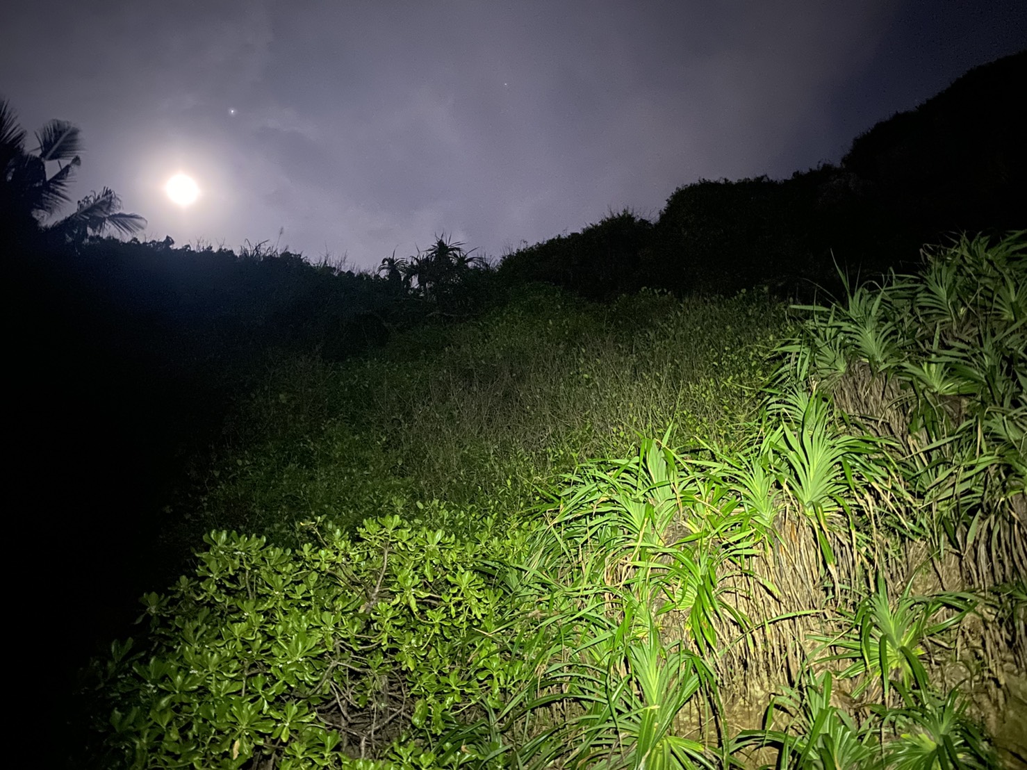 快訊／高雄柴山再傳失蹤案　家屬心急如焚 - https://www.watchmedia01.com