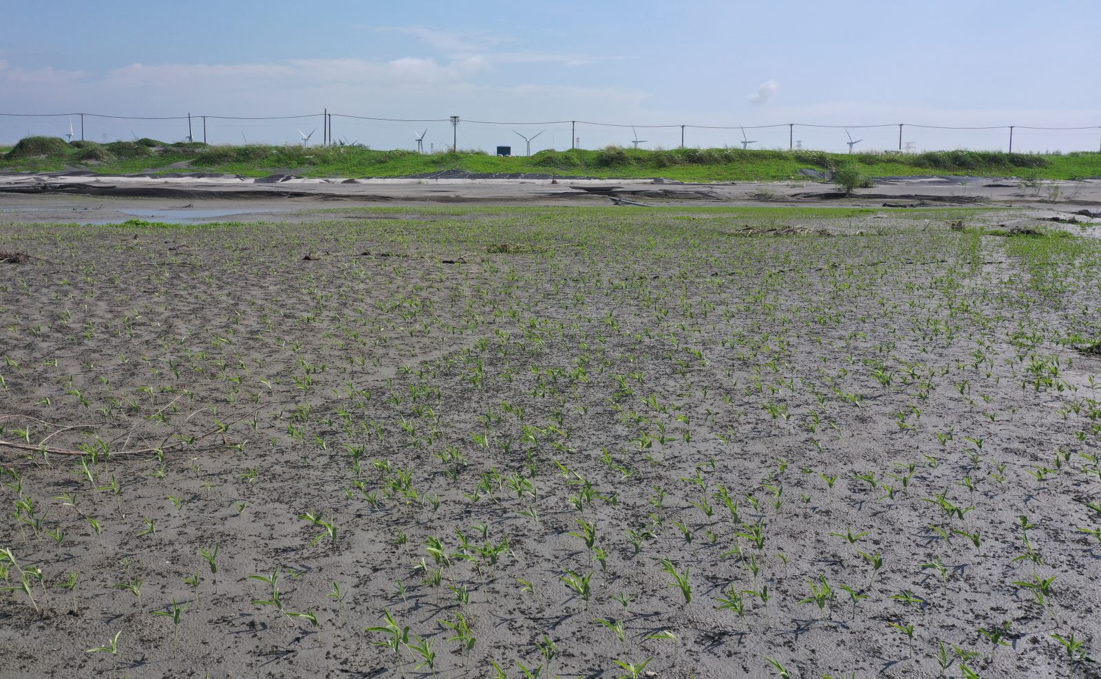 雲林濁水溪揚塵防制2.0起跑　加大力道營造深槽減少沙洲 - https://www.watchmedia01.com