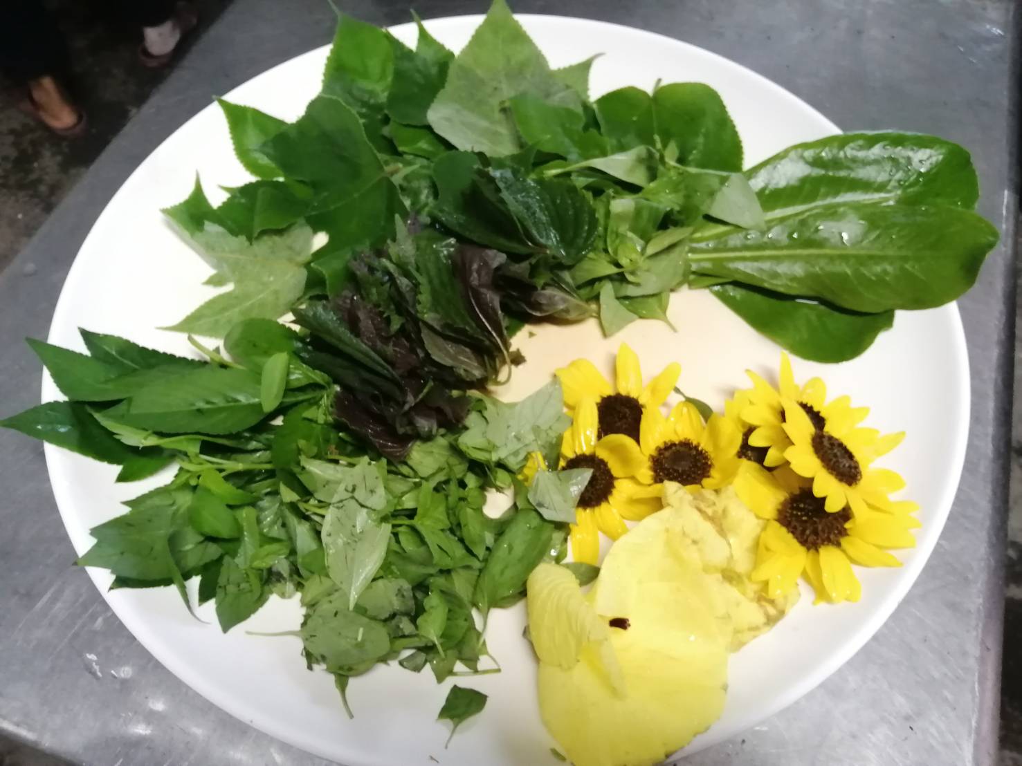 王功蚵藝生態料理研習營　用舌頭開啟生態之旅 - https://www.watchmedia01.com