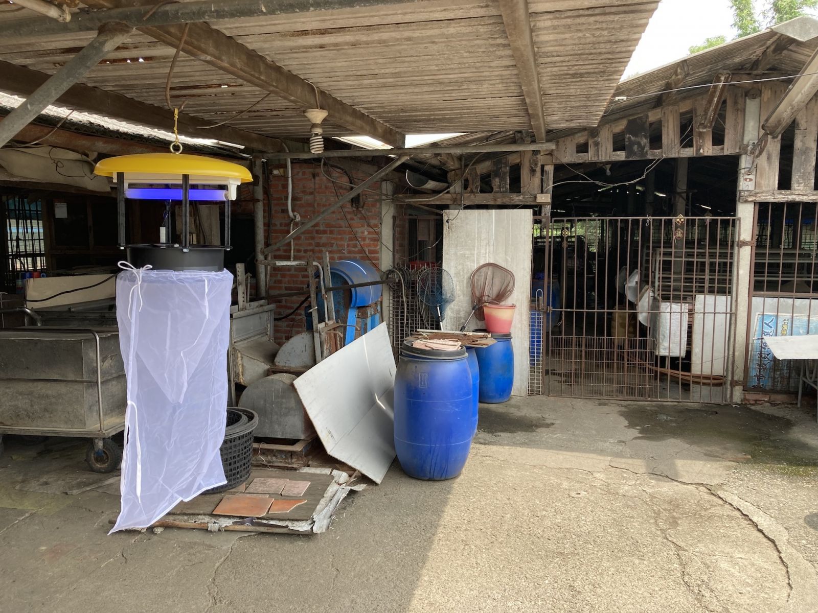 台南又增日本腦炎確診病例 民眾嚴加防蚊 - https://www.watchmedia01.com