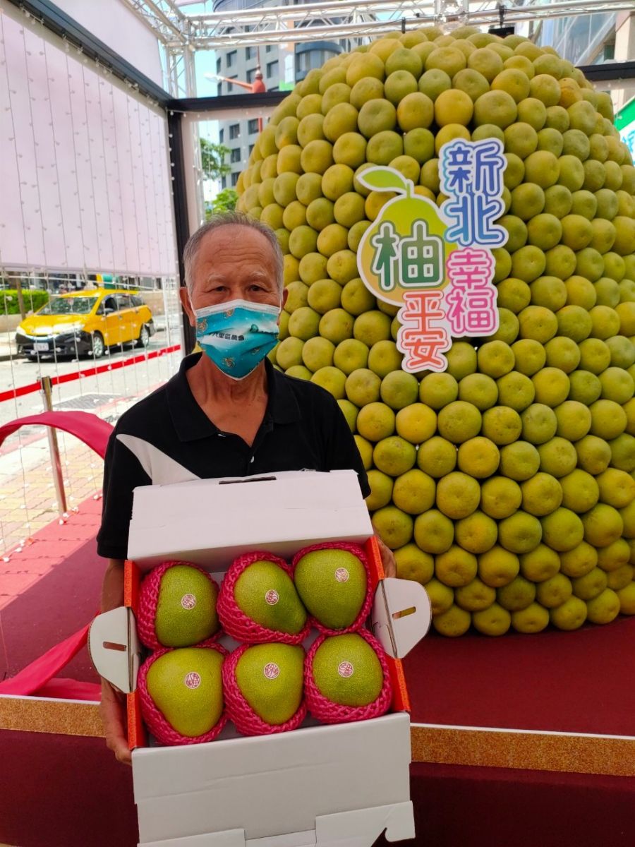 巨型文旦柚塔成板橋新地標 現場展售會人氣買氣旺 - https://www.watchmedia01.com