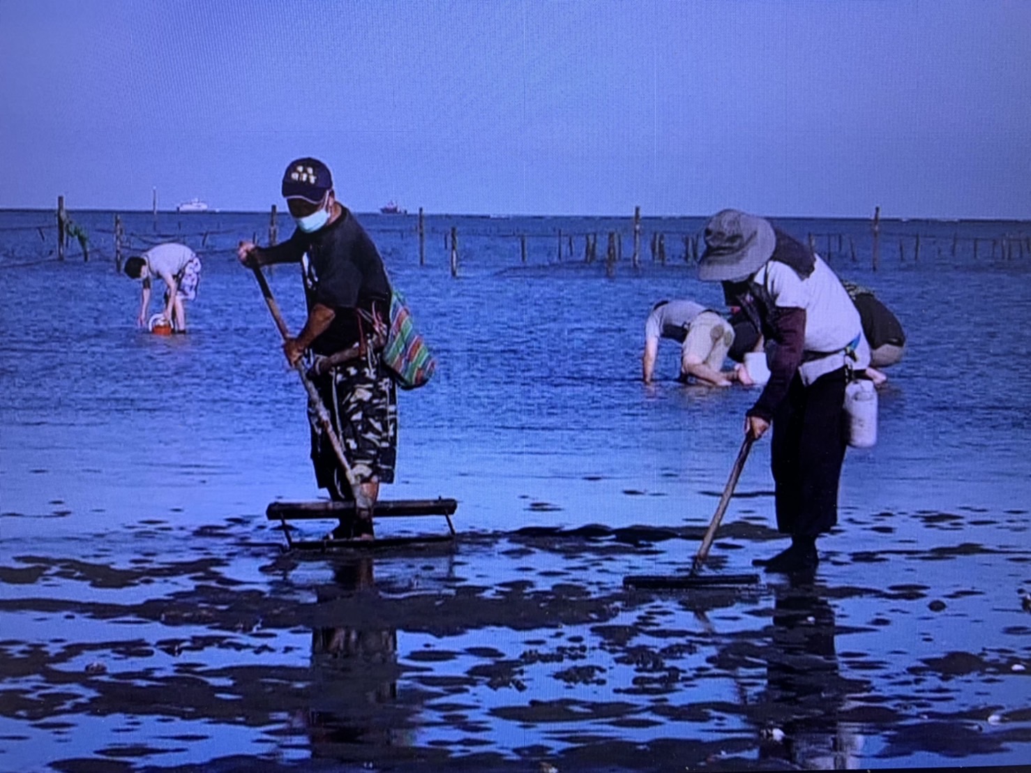 遊客體驗「摸蛤仔」樂趣　戰利品與漁民ＡＡ - https://www.watchmedia01.com