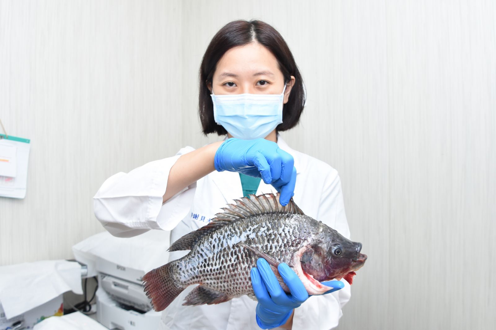 影／魚鰭刺傷感染「創傷弧菌」　8旬嬤壞死性筋膜炎險喪命 - https://www.watchmedia01.com