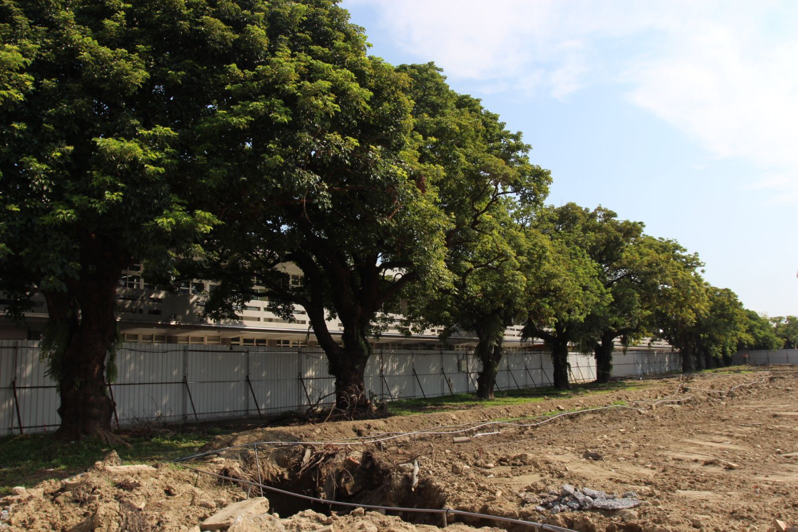 大埤國小老舊校舍重建動土 融入百年老茄苳繪本意象 - https://www.watchmedia01.com