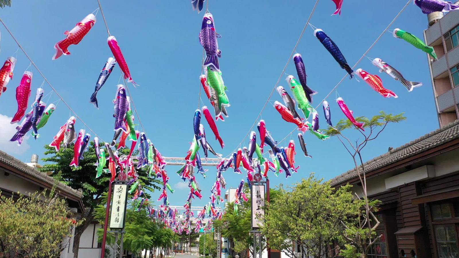 影／網美拍照打卡　五彩鯉魚旗海桂花巷藝術村隨風飄飄 - https://www.watchmedia01.com