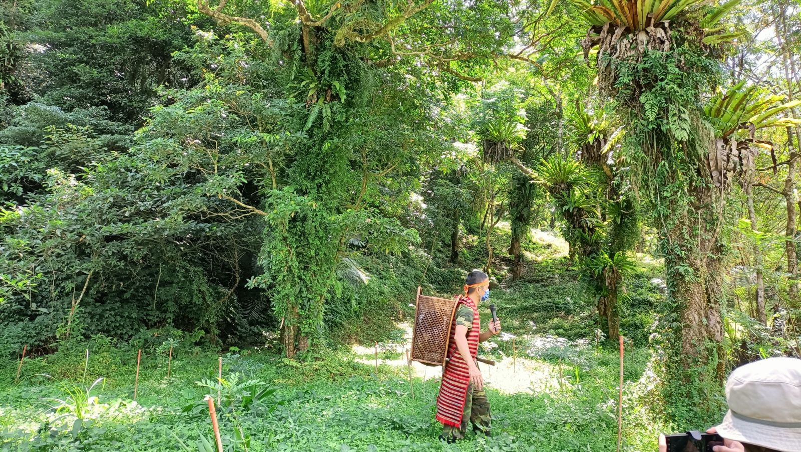 影/跟著獵人探訪秘境! 寒溪古魯林道體驗之旅聆聽山林的故事 - https://www.watchmedia01.com