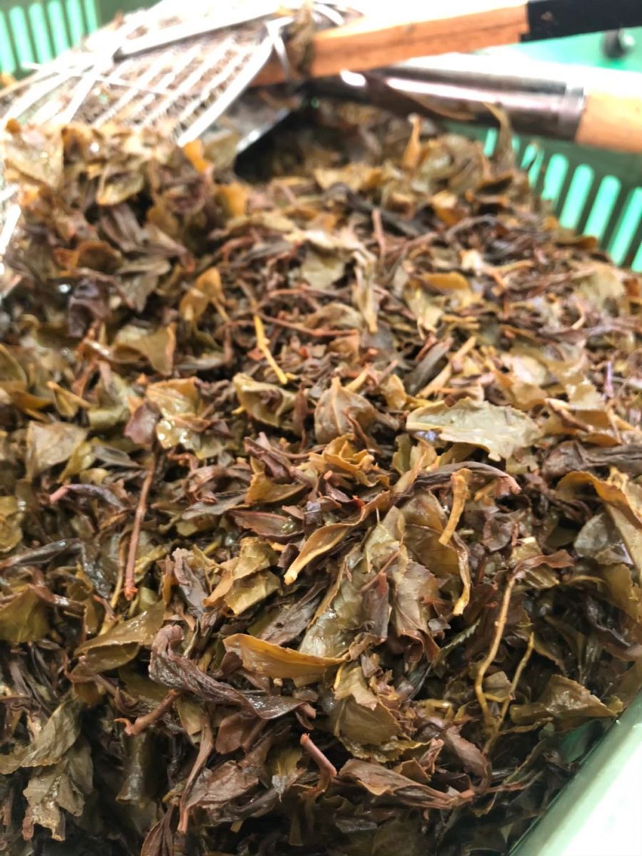 微氣泡感康普茶！果寶生技：兩法寶讓口感層次更勝一籌 - https://www.watchmedia01.com