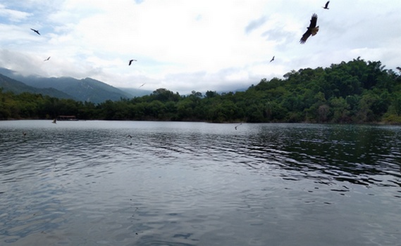 大埔鄉水庫滿水限定秘境　飛鷹峽谷瀑布可見黑鳶伴遊 - https://www.watchmedia01.com