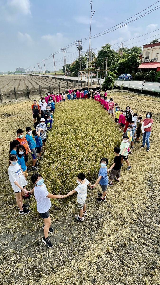影／香田國小生態田割稻「趣」　稻田裡看「稻」台灣浮水印 - https://www.watchmedia01.com