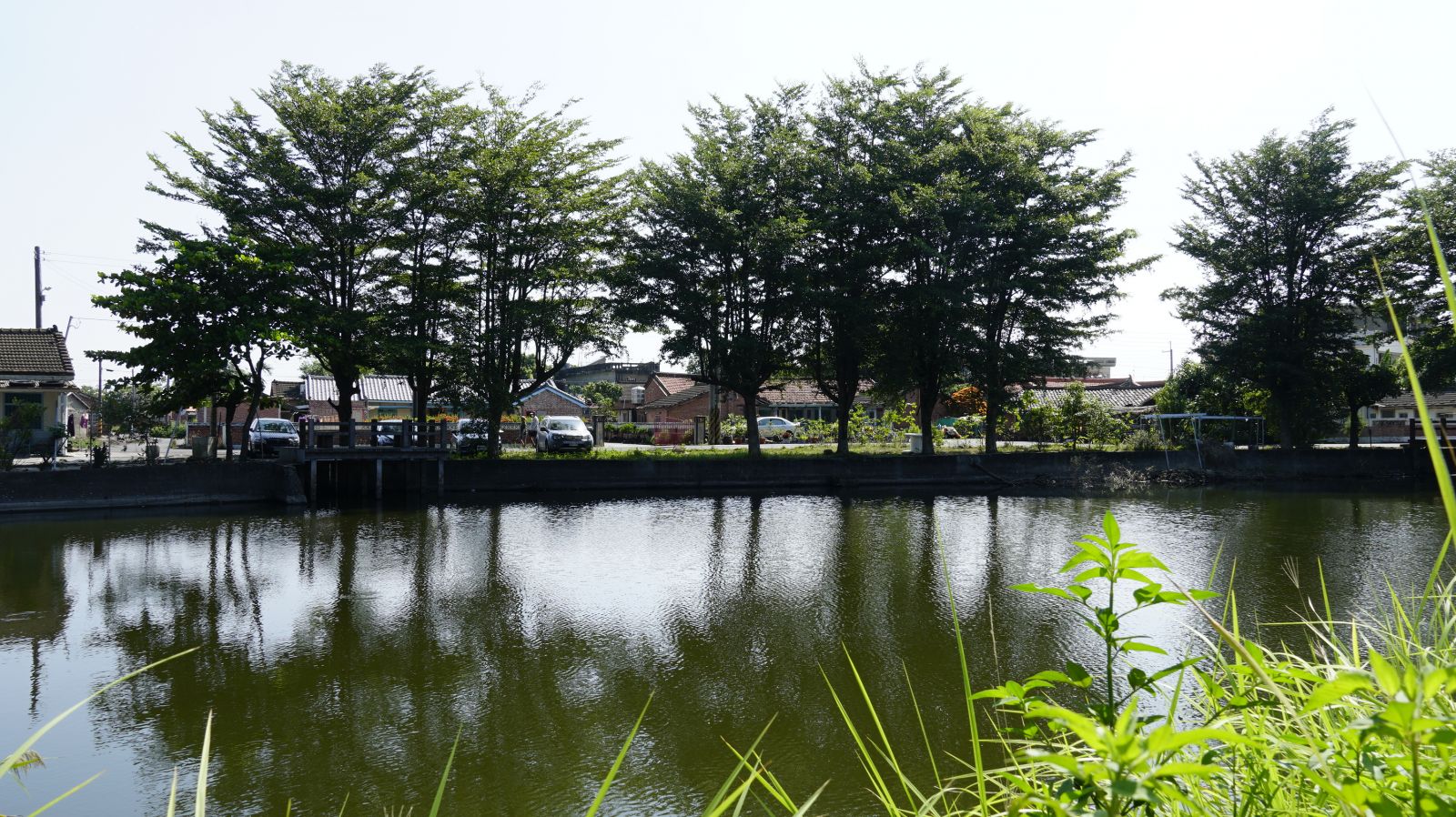 影／蘇治芬為偏鄉打造生態埤塘　水林溝澤大湖綠美化開工 - https://www.watchmedia01.com
