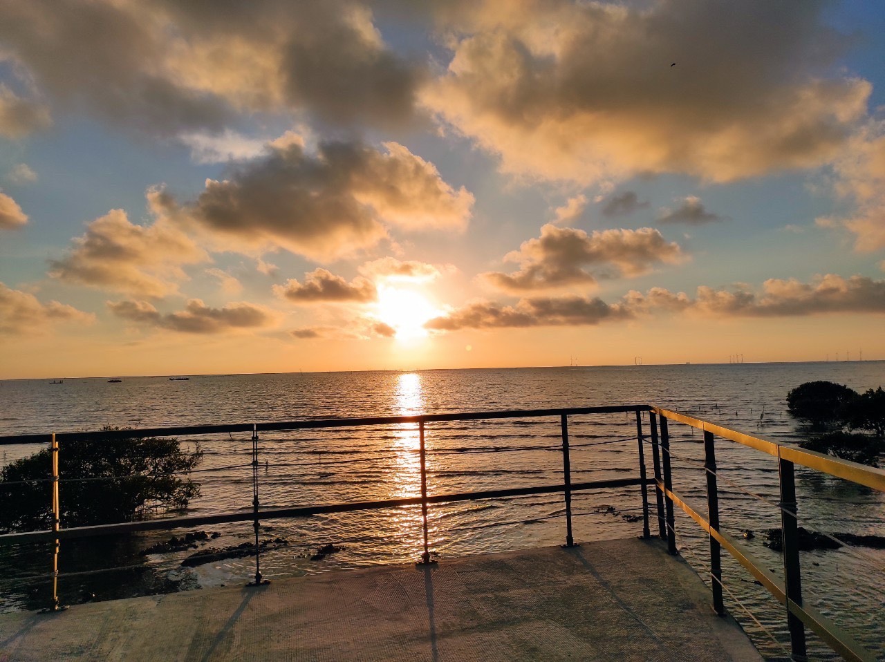 影／暴紅！芳苑濕地紅樹林海空步道　親子探索海空保安林 - https://www.watchmedia01.com