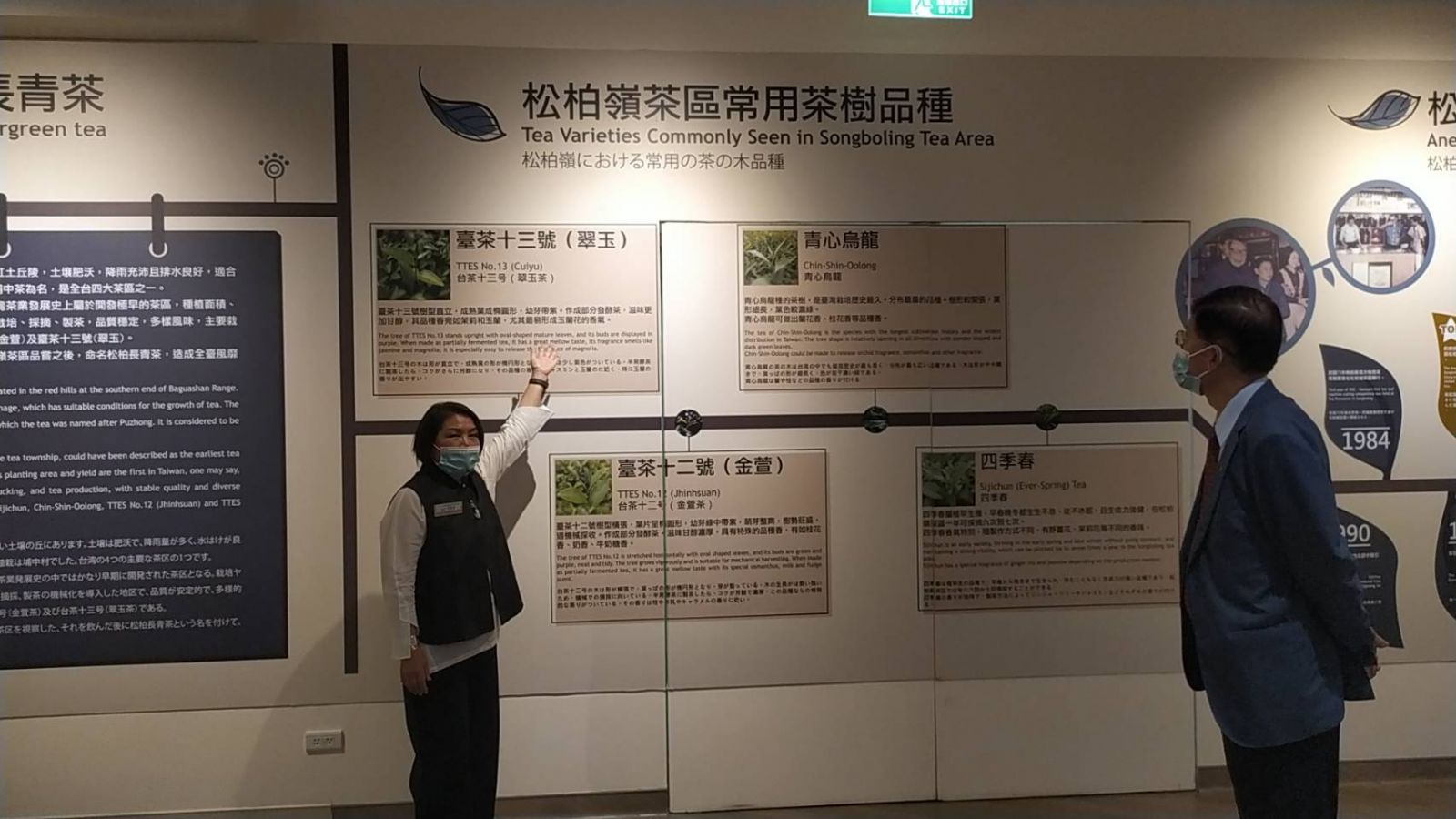 影／品茶香五感體驗一次滿足　松柏嶺茶文化主題館開幕　 - https://www.watchmedia01.com