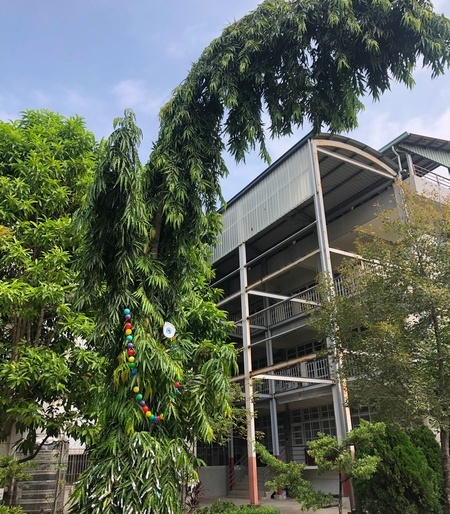 西洋萬聖節不怕「鬼混」　大業國中佈置塔樹創意教學 - https://www.watchmedia01.com